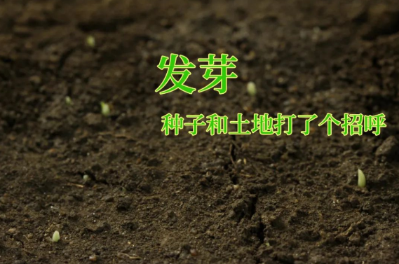 610cd7975fc47.png 微信圖片_20210806143157.png