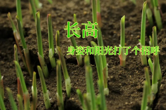 610cd7b0f3d3b.png 微信圖片_20210806143204.png