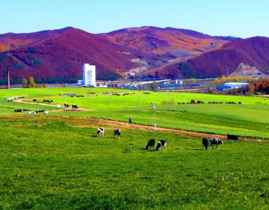 610cf88bae89a.png 微信圖片_20210806165213.png